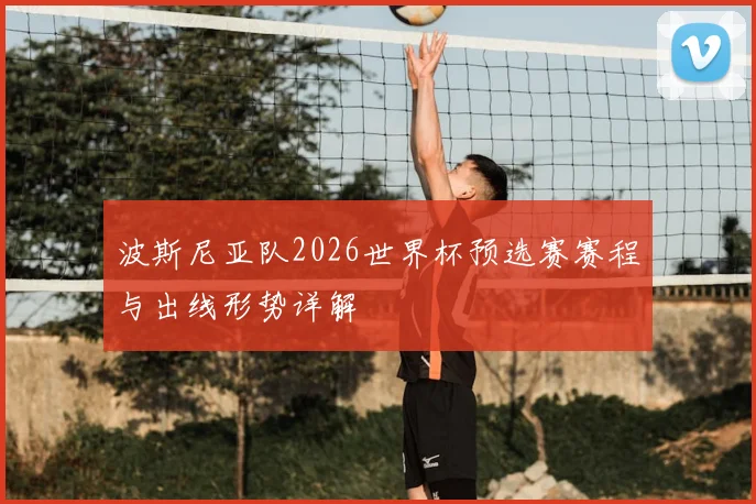 波斯尼亚队2026世界杯预选赛赛程与出线形势详解